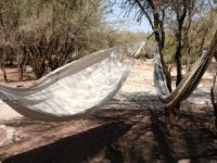 Eco Campamento El Huarango